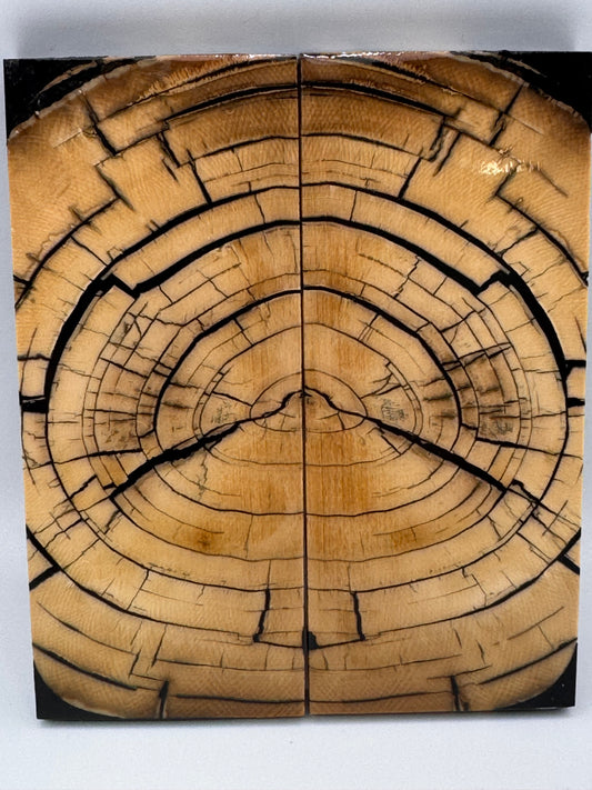 MAMMOTH CROSSCUT SCALE - RBW-03
