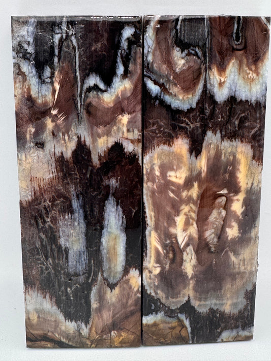 MAMMOTH MOLAR SCALE - RBW-12