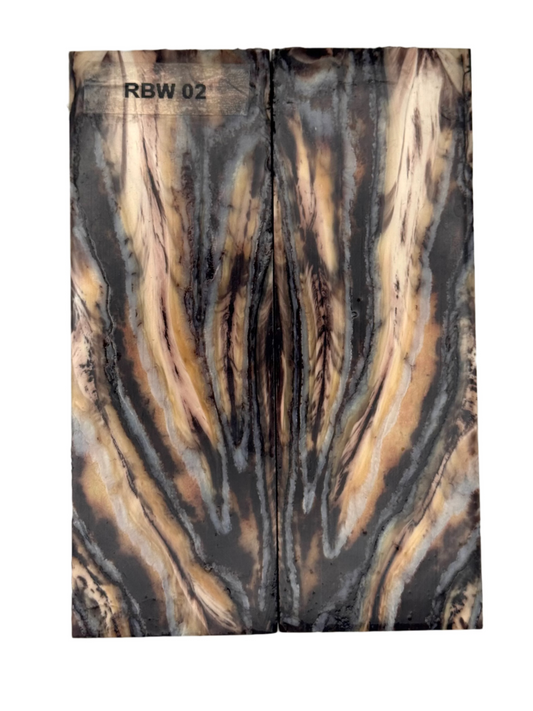 MAMMOTH MOLAR SCALE - RBW-02