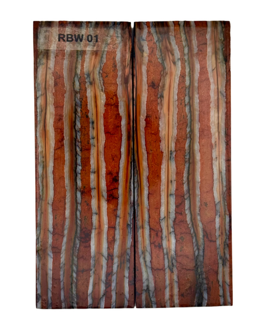 MAMMOTH MOLAR SCALE - RBW-01